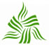 Xi'an New Forest Biotechnology Co.,Ltd